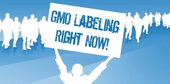 A Monsanto e o negócio com sementes transgénicas A Monsanto e o negócio com sementes transgénicas