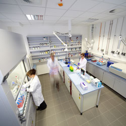 Thermo Fisher lança laboratório de resposta global à segurança alimentar