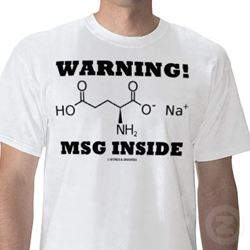 Glutamato monossódico MSG