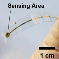 sensor que deteta alimentos estragados sensor que deteta alimentos estragados