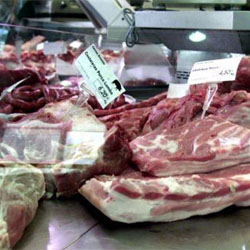 produtos contaminados com a bactéria salmonela 
