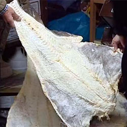 ASAE apreende bacalhau