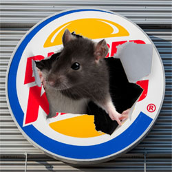 Burger King em Delaware USA