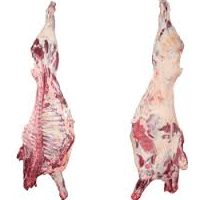 Antibiótico não autorizado em carcaças