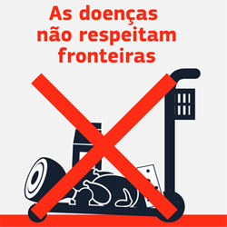 As doenças não respeitam fronteiras As doenças não respeitam fronteiras