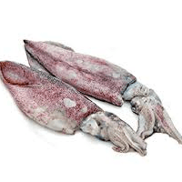 Operador não autorizado