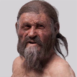 a última refeição de Ötzi