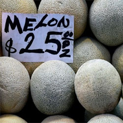 Rockmelon