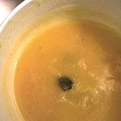 Barata na sopa encerra refeitório da RTP Barata na sopa encerra refeitório da RTP