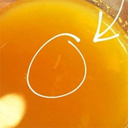 sumos de laranja natural com larvas sumos de laranja natural com larvas