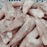 Certificado sanitário impróprio