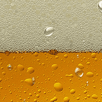 sInonotus obliquus em cerveja