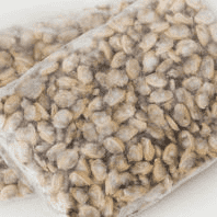 Salmonella em carne de marisco cozida congelada