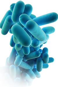 Prevenção e Controlo de Legionella