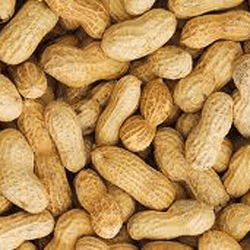 Aflatoxinas em amendoins com casca