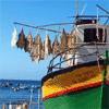 Estudo mostra que comer pescado português é seguro