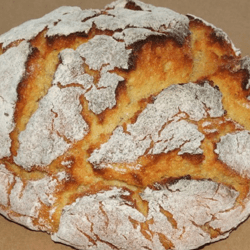 Há milho trangénico na tradicional broa portuguesa