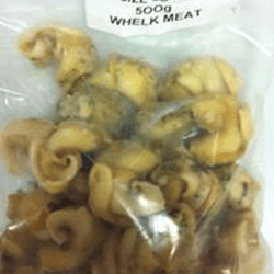 Salmonella em búzios cozidos