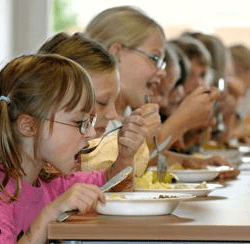 Em 2014 a maioria das intoxicações alimentares aconteceram em escolas