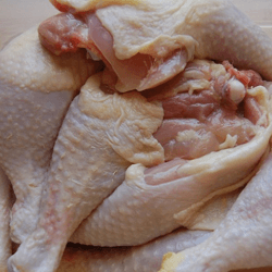 Carne de frango é fonte de infecção animal mais comum na Europa Carne de frango é fonte de infecção animal mais comum na Europa