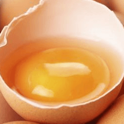 Teste genético ajuda a relacionar surto de Salmonella com produtor de ovos Alemão
