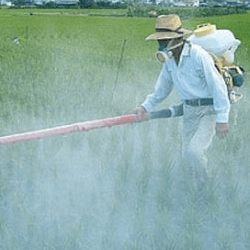 Alimentos perigosos disponíveis em base de dados na Net Alimentos perigosos disponíveis em base de dados na Net