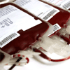 E. coli: Portugal tem reserva estratégica de sangue E. coli: Portugal tem reserva estratégica de sangue