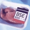 BSE