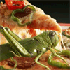 Australiano cria pizza sabor a gafanhoto Australiano cria pizza sabor a gafanhoto