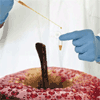 Nano-alimentos: o próximo alvo de medo dos consumidores?