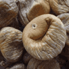 Aflatoxinas em figos secos